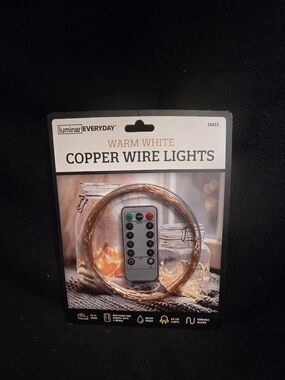Warm White Copper Wire Lights
